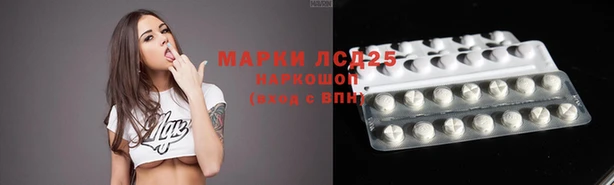 винт Балахна